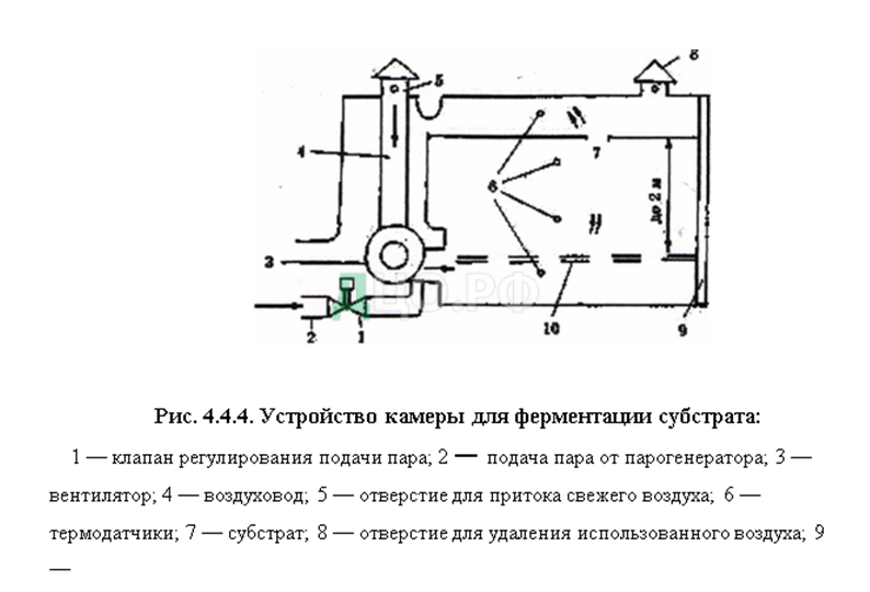 Курсовая работа по теме Технология выращивания грибов